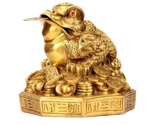 農曆10月出生 中國鳥巢